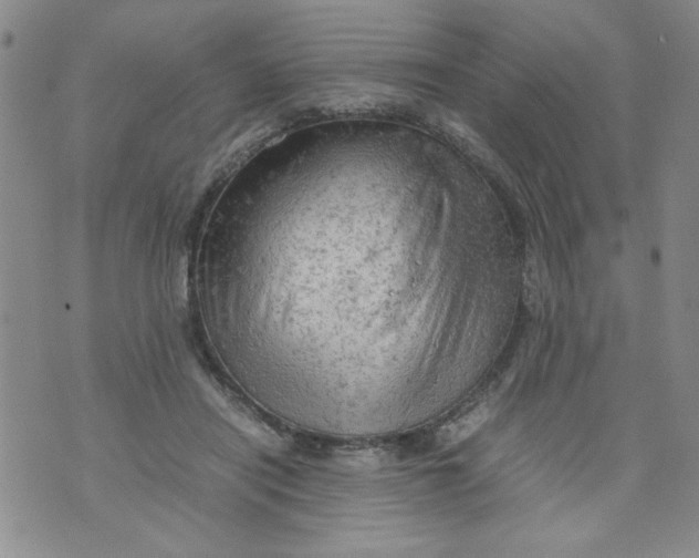 X0000072550454200608041652