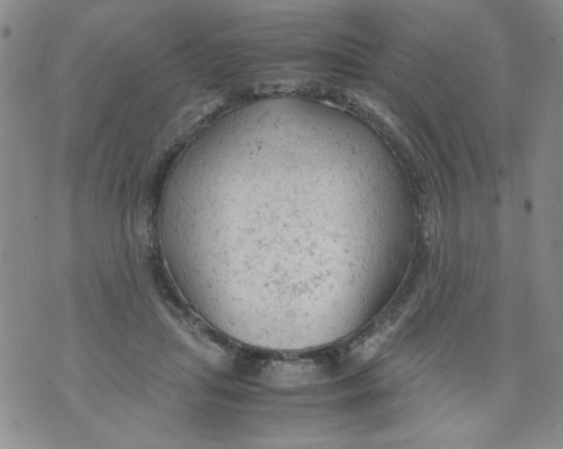 X0000072550455200608041652