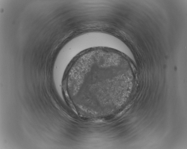 X0000072550456200608041652