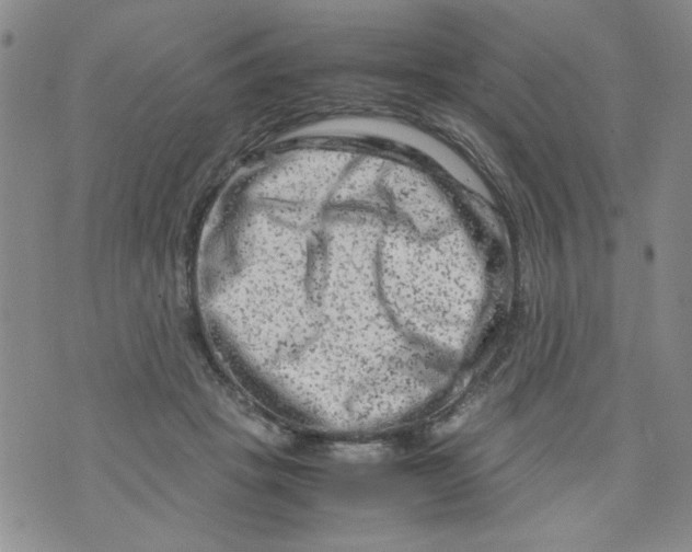 X0000072550457200608041652