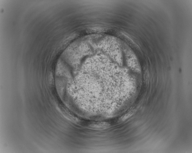 X0000072550459200608041652