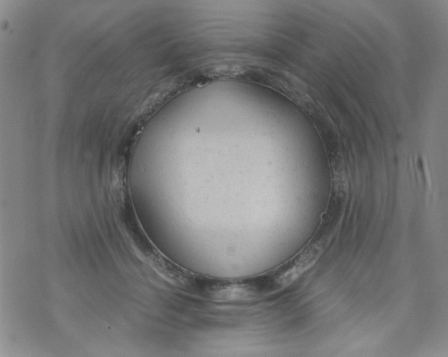 X0000072550460200608041652