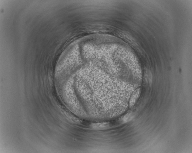 X0000072550461200608041652