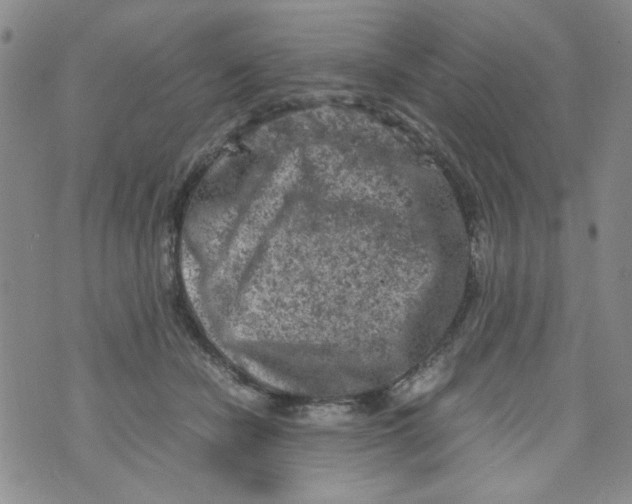 X0000072550462200608041652