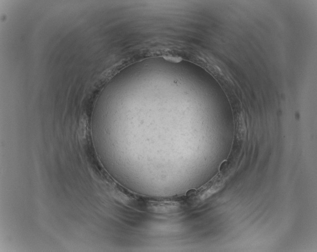 X0000072550463200608041652