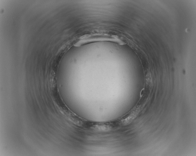 X0000072550464200608041652