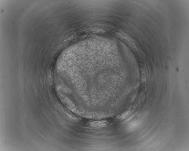 X0000072550465200608041652