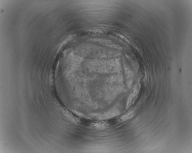 X0000072550466200608041652