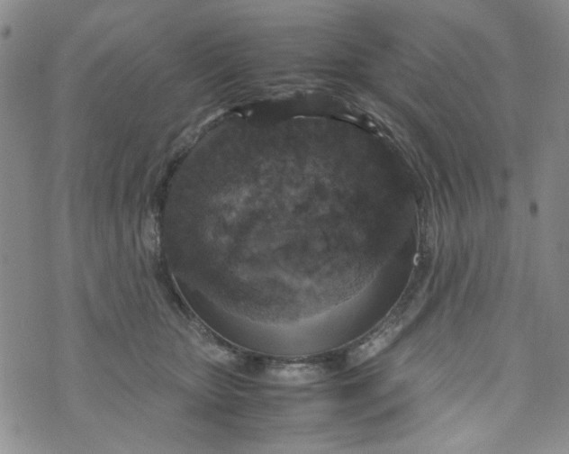 X0000072550467200608041652