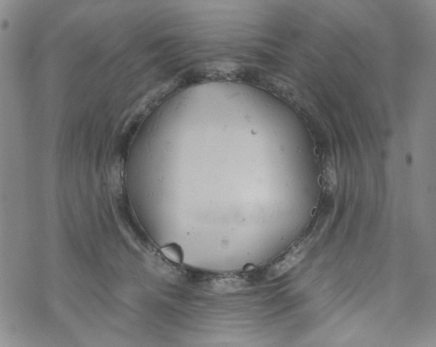 X0000072550468200608041652