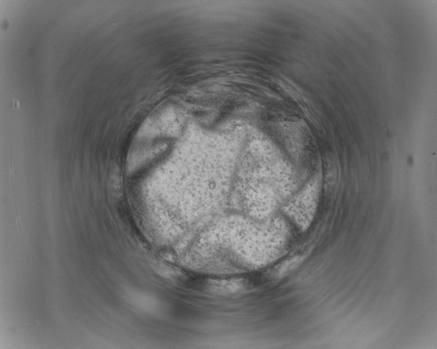 X0000072550469200608041652