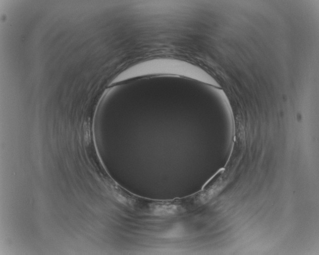 X0000072550471200608041652