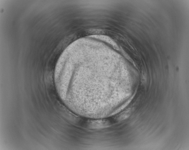 X0000072550473200608041652