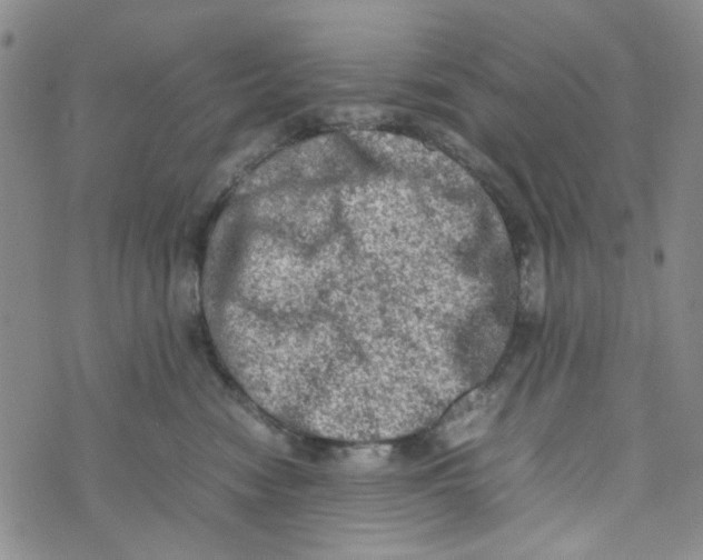 X0000072550474200608041652