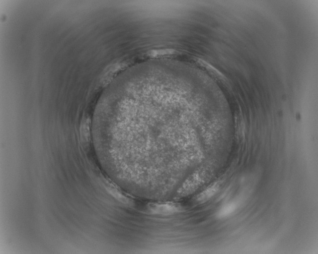 X0000072550475200608041652