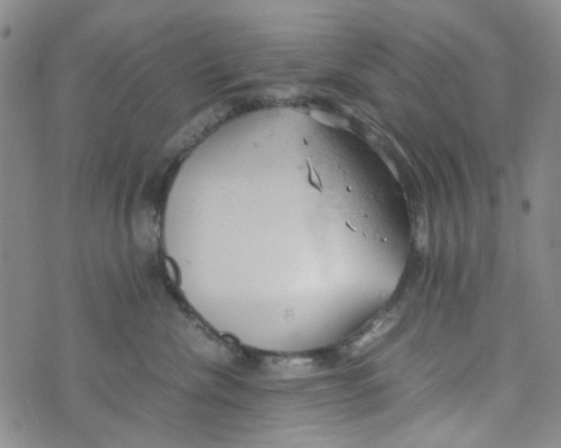 X0000072550476200608041652