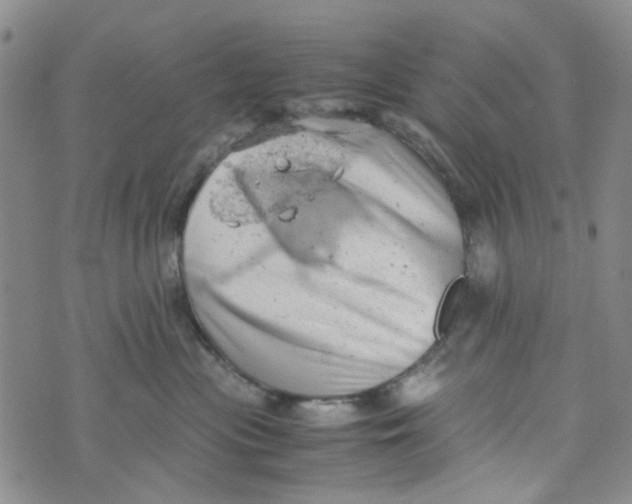 X0000072550477200608041652