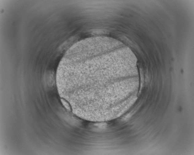 X0000072550478200608041652