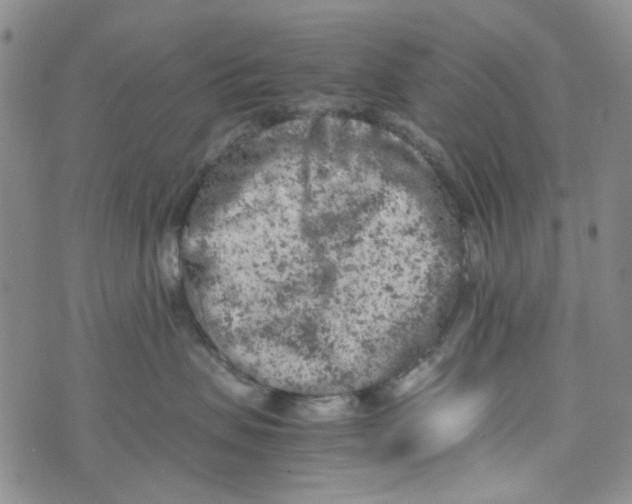 X0000072550479200608041652