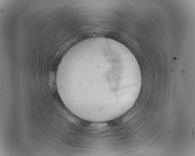 X0000072550480200608041652