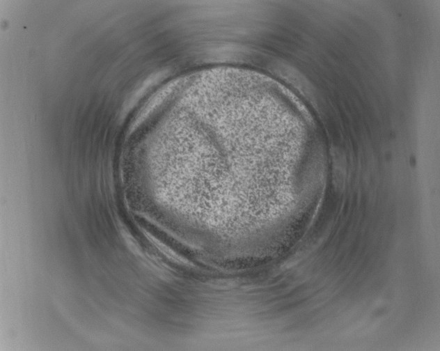 X0000072550482200608041652