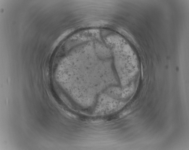 X0000072550483200608041652