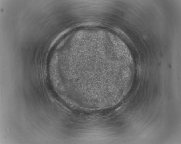 X0000072550484200608041652