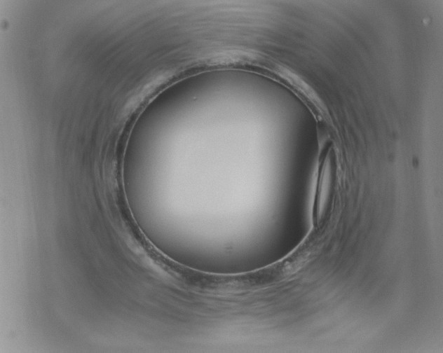 X0000072550485200608041652