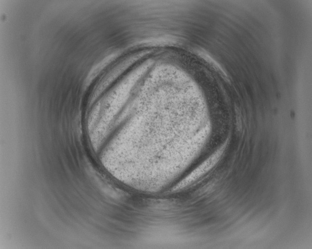 X0000072550486200608041652