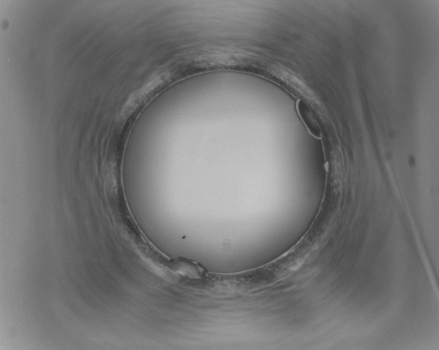 X0000072550489200608041652