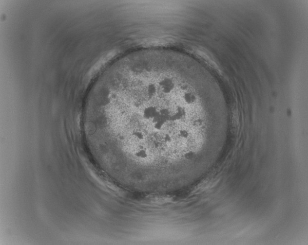 X0000072550491200608041651