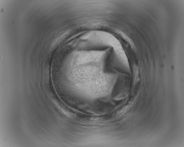 X0000072550493200608041651