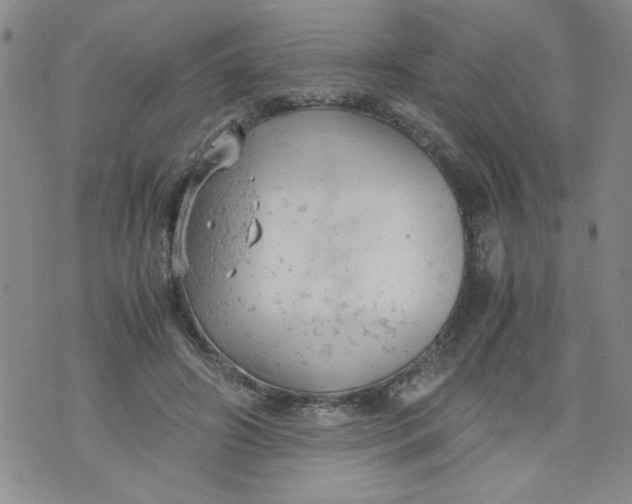 X0000072550498200608041651