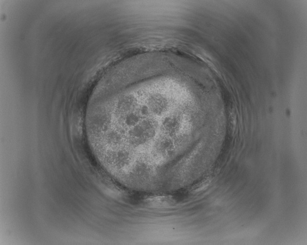 X0000072550499200608041651