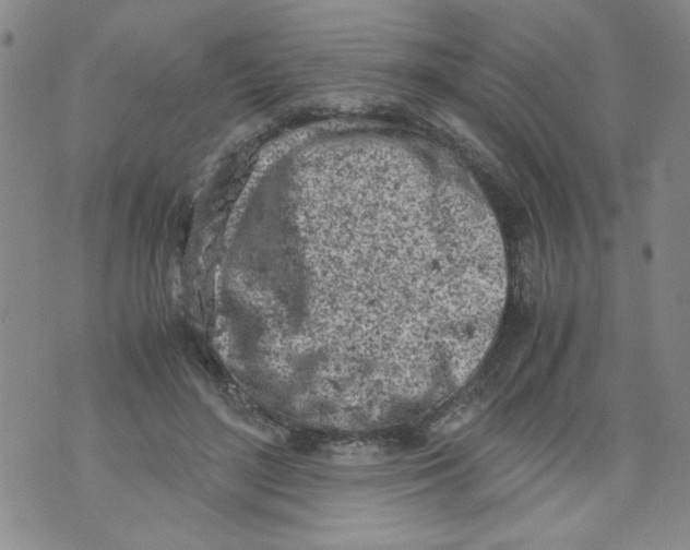 X0000072550500200608041651