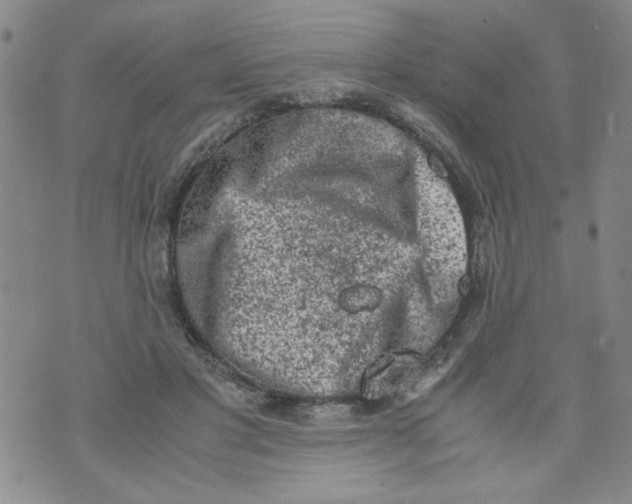 X0000072550501200608041651