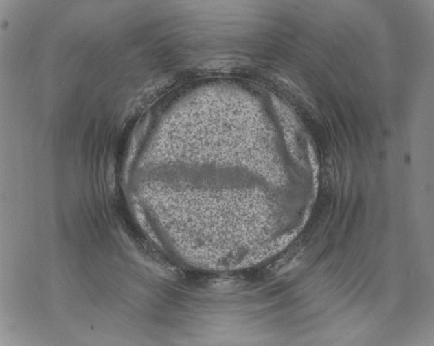 X0000072550504200608041651