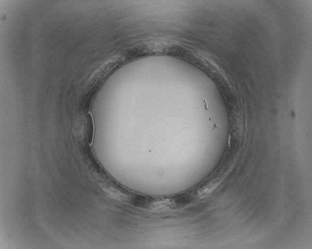 X0000072550505200608041651