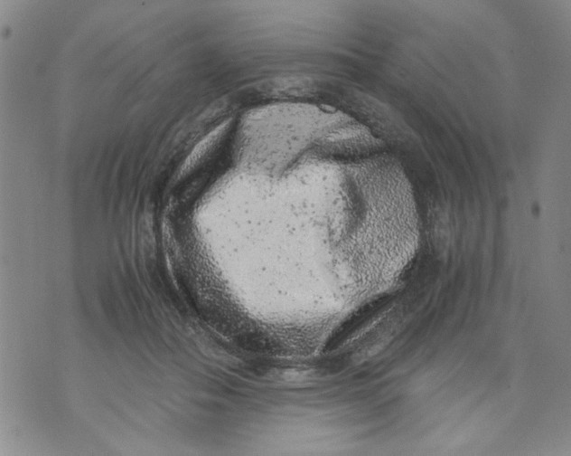 X0000072550506200608041651