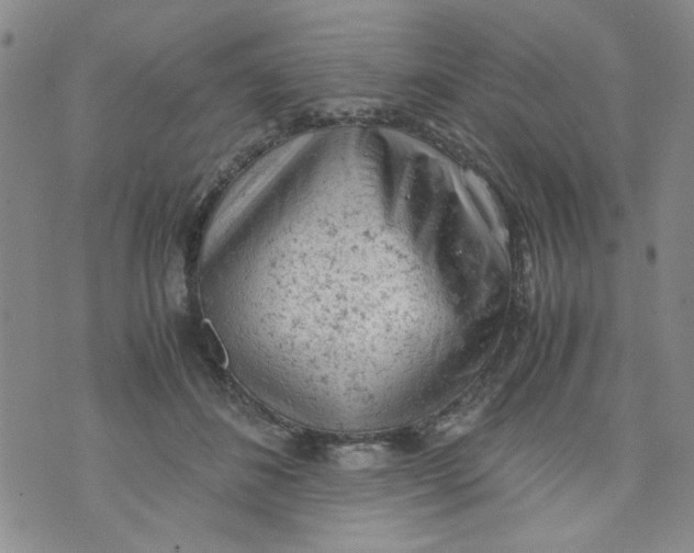 X0000072550508200608041651