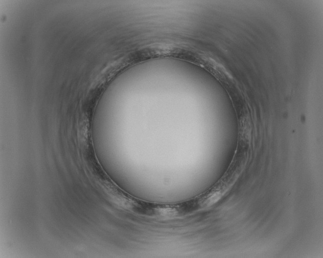 X0000072550509200608041651