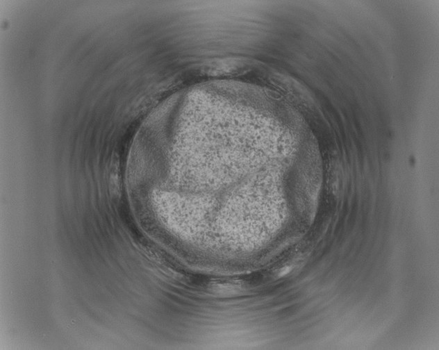 X0000072550510200608041651