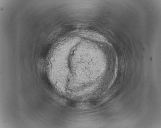 X0000072550511200608041651