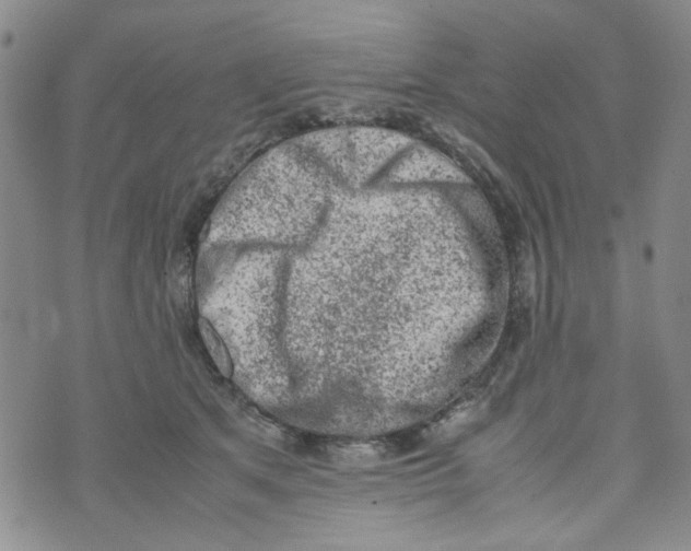 X0000072550513200608041651