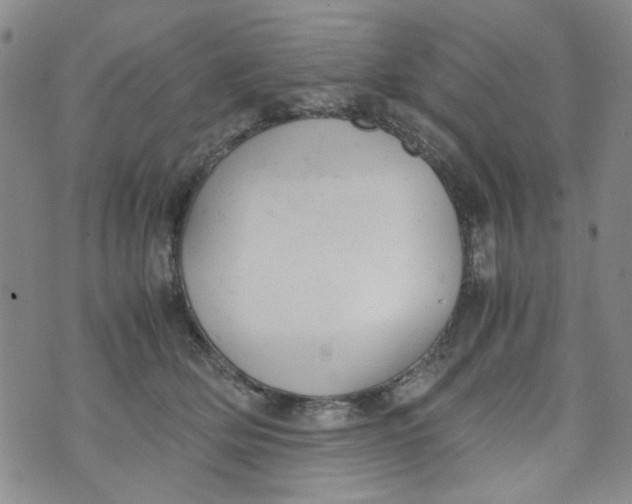 X0000072550514200608041651