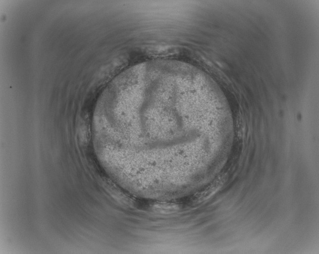 X0000072550515200608041651