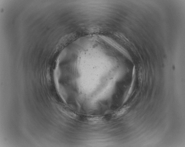 X0000072550516200608041651