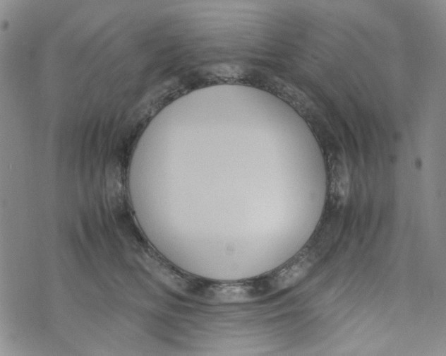 X0000072550518200608041651