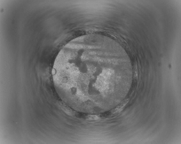 X0000072550519200608041651