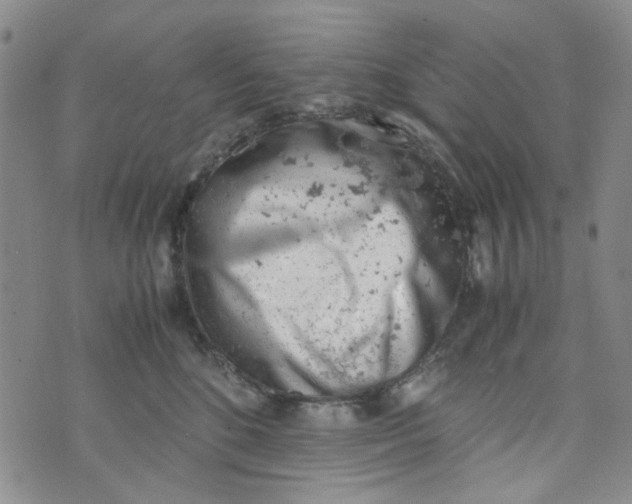 X0000072550520200608041651